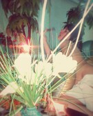 Анкета проститутки Раиса - метро Южное Бутово, возраст - 25